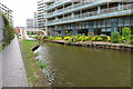 Offices and shrubs on the Bridgewater Canal