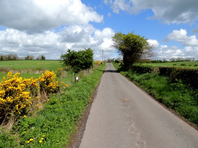 Florance Road, Cormore © Kenneth Allen :: Geograph Ireland