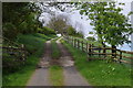 Farm track to Pant-y-pyllau