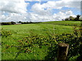 Cormore Townland