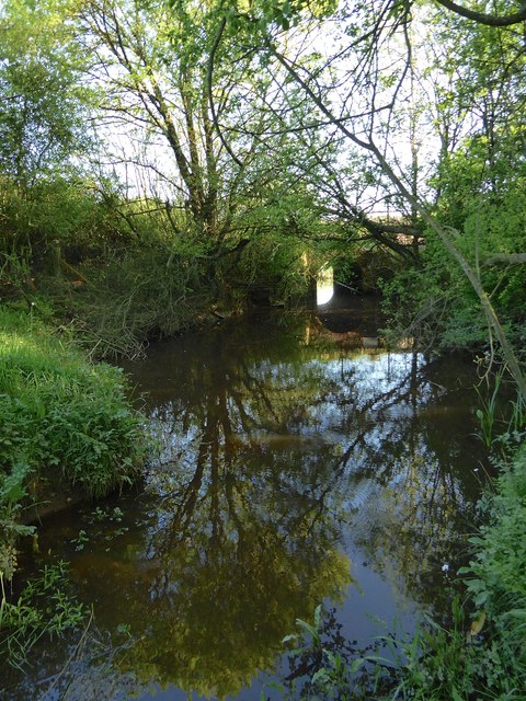 Former Spillway, Site of Etchingham Forge