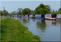 SJ7626 : Moored narrowboats along the Shropshire Union Canal by Mat Fascione