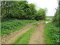 Path near Manor Farm