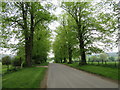 Road leaving Birdsall