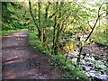 Path to the Glenashdale Falls (Eas a