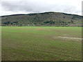 The Tay floodplain at Weem