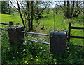 Wood Brook next to Guild Lane