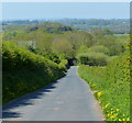 Country lane near Wilbrighton Hall