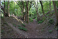 Footpath below Beacon Hill