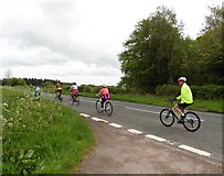 ST5599 : Cyclists on the B4228 near Beacon Ash by Roger Cornfoot