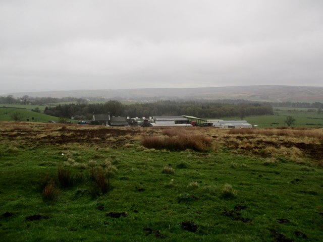 Rooftops  of  Brow  House  Farm  on  a  wet  day