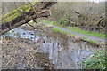 Small channel, Holywater Meadows