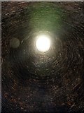 SJ6902 : Inside a bottle kiln at Clayport China Museum by Graham Hogg