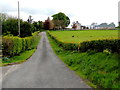 Drumconnelly Road, Moylagh