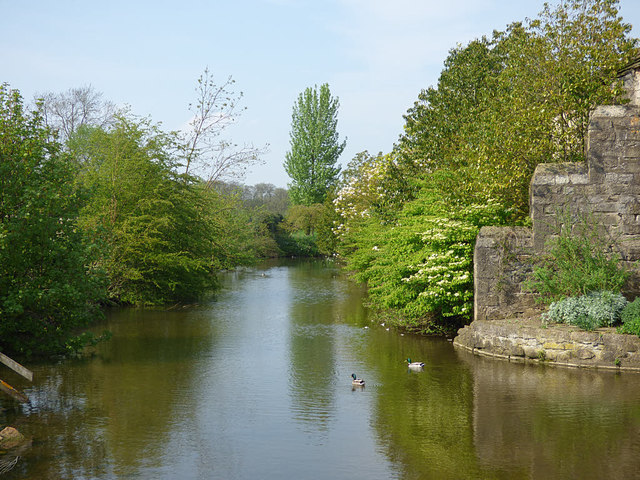 Markenfield Hall - moat, west side