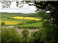 ST5296 : Farmland in the Wye Valley by Roger Cornfoot