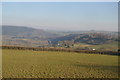 View from Tamar Valley Line