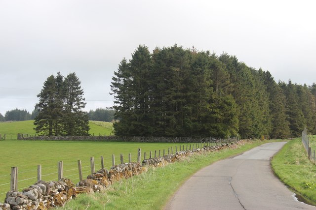 Minor road to Auchterarder from Braco