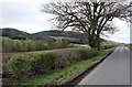 B8062 near Millhaugh