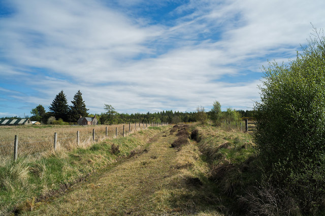 Track to Wood of Brae from Agneshill