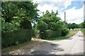 Track past The Old Cottage