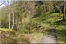 NN3405 : Path, east side of Loch Lomond by Richard Webb