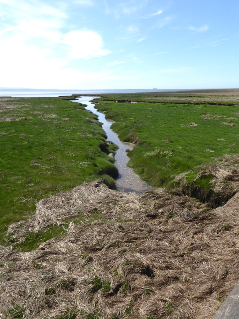 Channel through the salt marsh