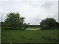 Pond near Old Carlton Farm