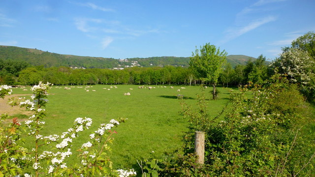 View to The Wyche