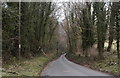 Lane to Nettleton, The Gibb, nr Castle Combe, Wiltshire 2013