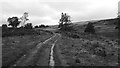 Track on to moorland near Baledmund