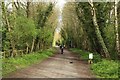 Bridleway along the River Tyne