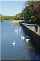 Mill Pond, Pembroke