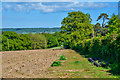 East Devon : Grassy Field