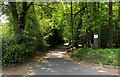 Track to Chelwood Farm