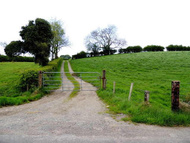 Gate and lane, Fernagh