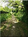 South West Coast Path to Stoke Point