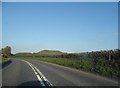 Cley Hill from Westbury Road