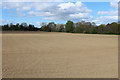 Field sandwiched between the A862 and River Beauly