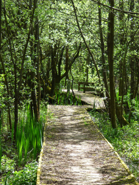 Paisley Moss Nature Reserve © Thomas Nugent :: Geograph Britain and Ireland