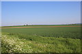 Fields Near Barnsley farm