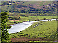 Afon Dyfi