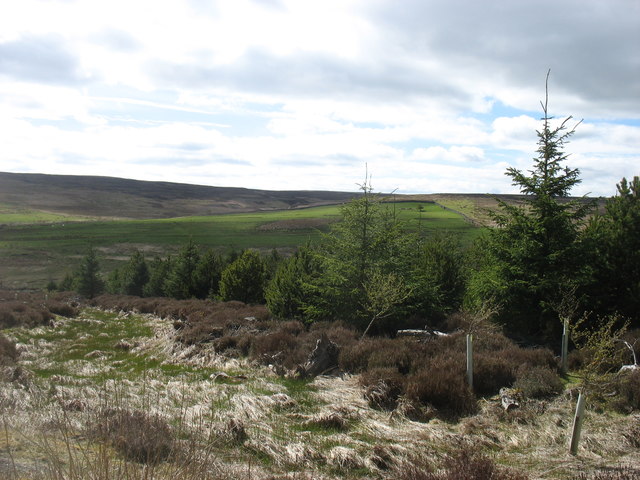 Winnows Hill © David Purchase :: Geograph Britain and Ireland