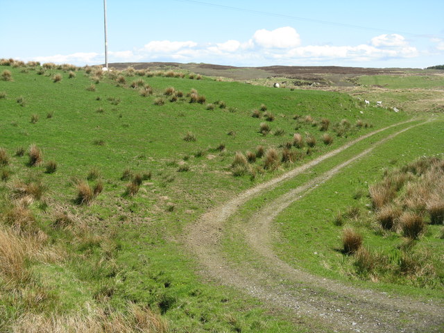 Track to Loch Gearach