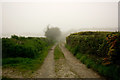 A permissive footpath which leads from Chilpark to the Tarka Trail