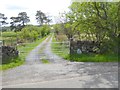 Driveway to Green Ghyll farm