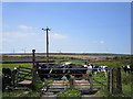 Gate on the Millennium Way