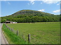 Pasture in a bend of the Afon Honddu