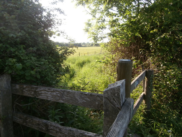 Mid Wilts Way and White Horse Trail