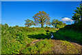 East Devon : Track